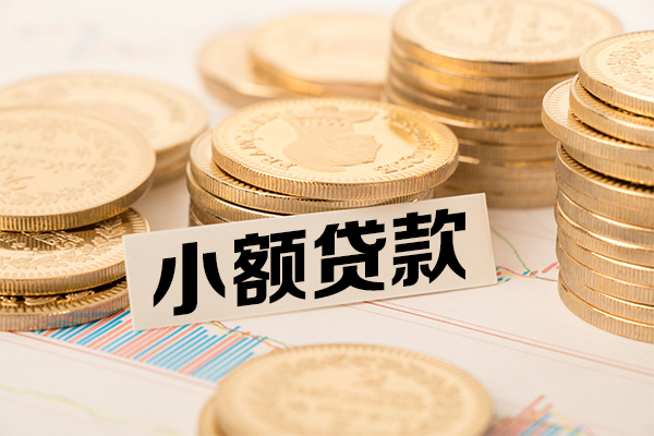 成都19小额贷款-成都19民间短期私借借款-成都19急需借钱可以找我